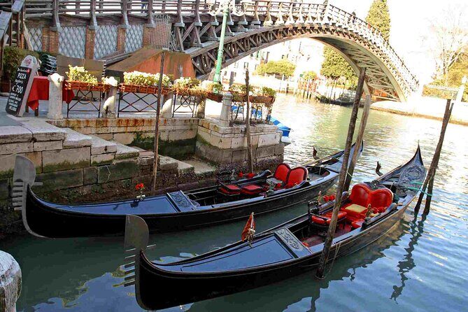 Venice: Enchanting City Walk & Majestic Gondola Glide! - What to Expect from the Tour: An In-Depth Look