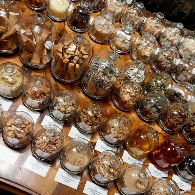 VENICE, FRANKINCENSE AND MYRRH! A JOURNEY ON AROMATICS TRADE - Who Should Consider This Tour?