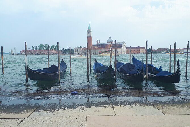 Venice Full-Day Guided Tour From Milan - Practical Details That Matter