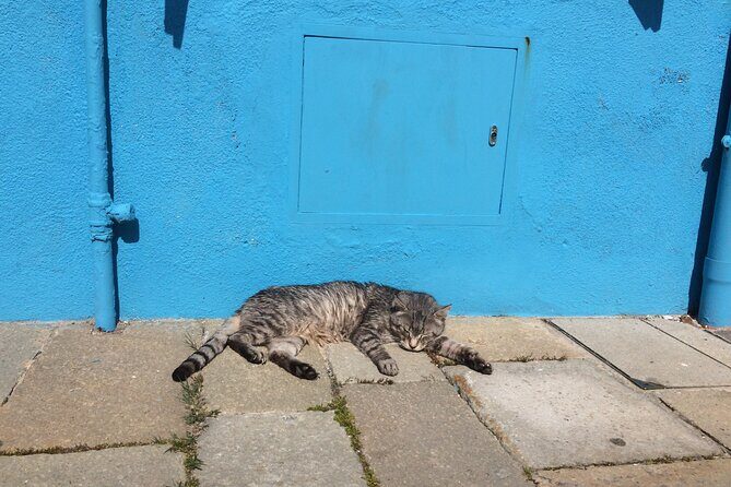 Venice Islands Boat Trip Murano Burano,(Torcello) - A Practical Look at the Itinerary