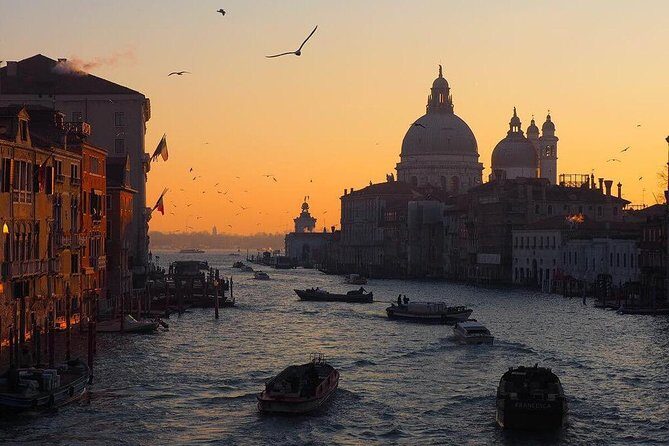 Venice Marco Polo Airport Private Arrival Transfer via Motorboat - The Details of the Transfer Experience