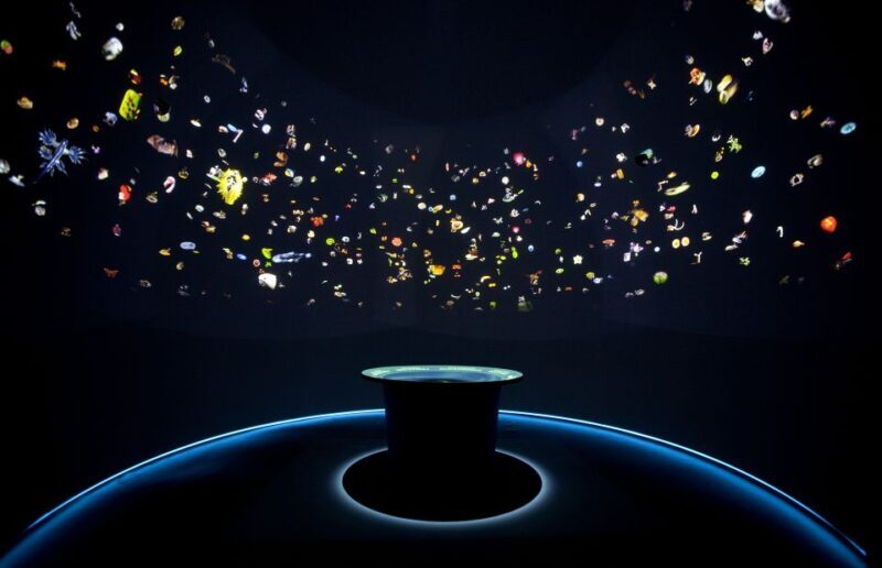 Venice: Natural History Museum Entry Ticket - The Verdict: Who Should Visit?