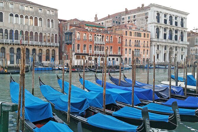 Venice Top attractions Walking Tour along the Canals with Local Guide - Who Will Love This Tour?
