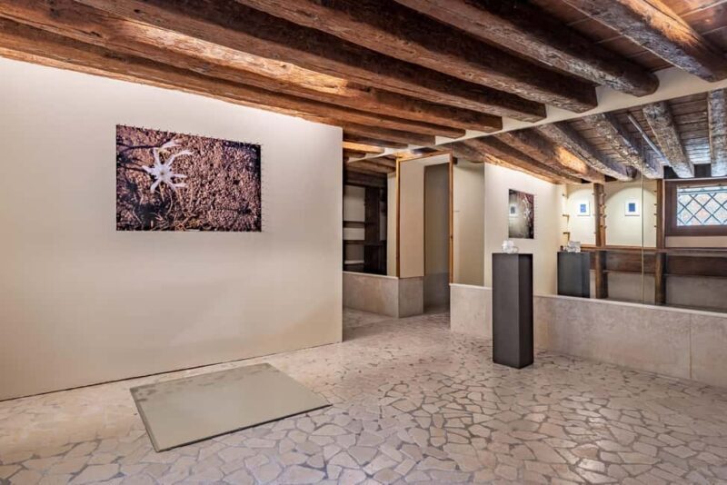 Venice Wine Tasting and Contemporary Art - What You Can Expect from This Experience