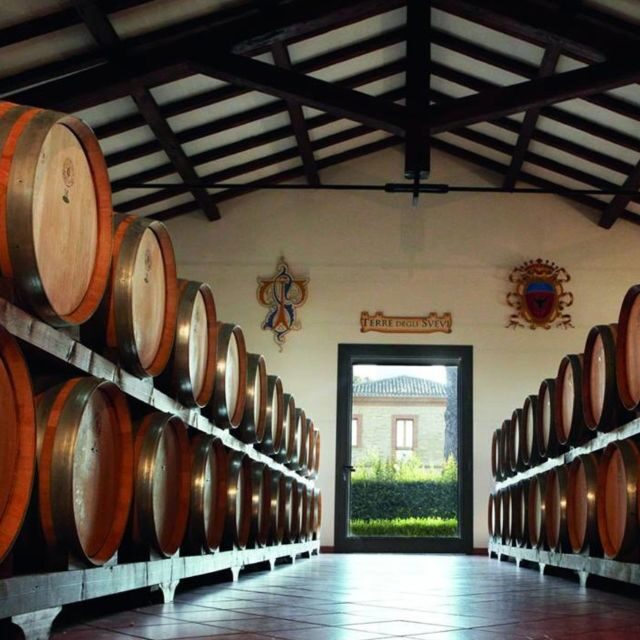 Venosa: Re Manfredi Winery Tour with Tastings - An In-Depth Look at the Re Manfredi Winery Tour in Venosa