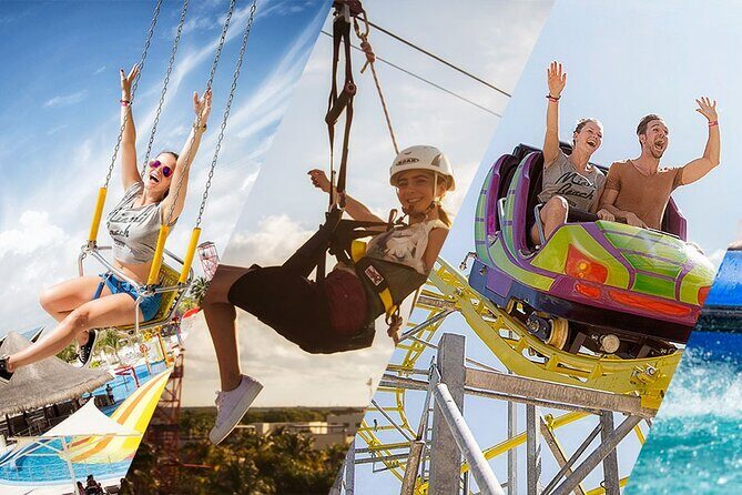 Ventura Dolphin - Price and Value