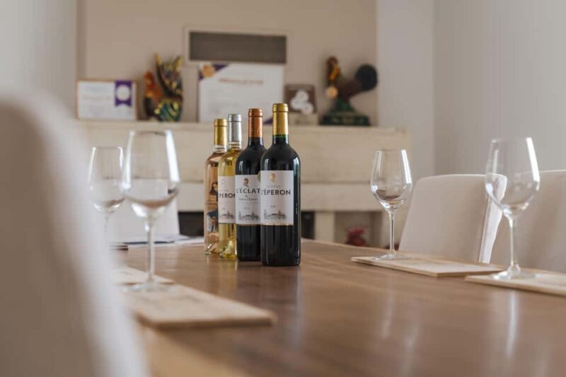 Vérac: Château L'Éperon Wine Tasting and Masterclass - The Practical Side: What You Should Know