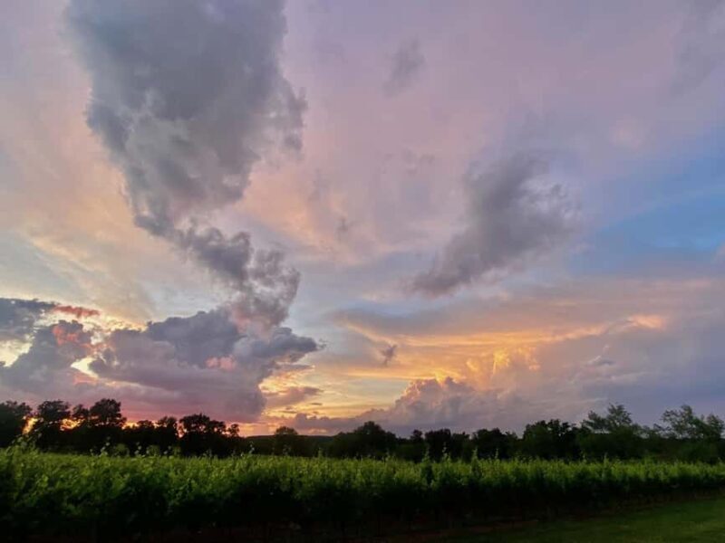 Vérac: Château L'Éperon Wine Tasting and Masterclass - Who Should Consider This Tour?