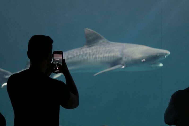 Veracruz: 5-Attraction Tour with Aquarium and Boat Tour - Key Points