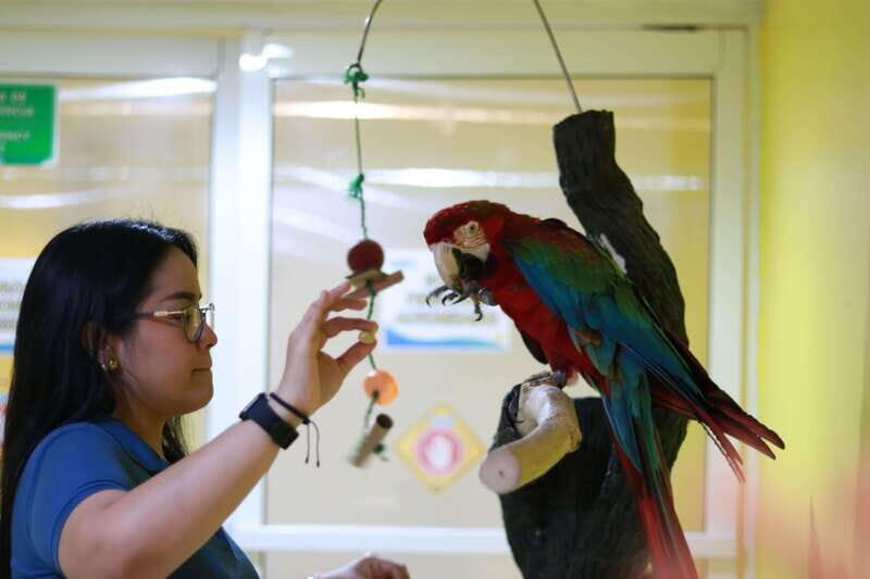 Veracruz: 5-Attraction Tour with Aquarium and Boat Tour - FAQ