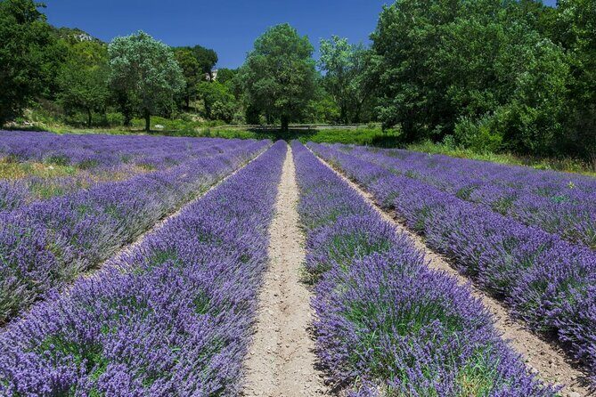 Verdon Canyon and its Lake Full Day Tour - Final Thoughts