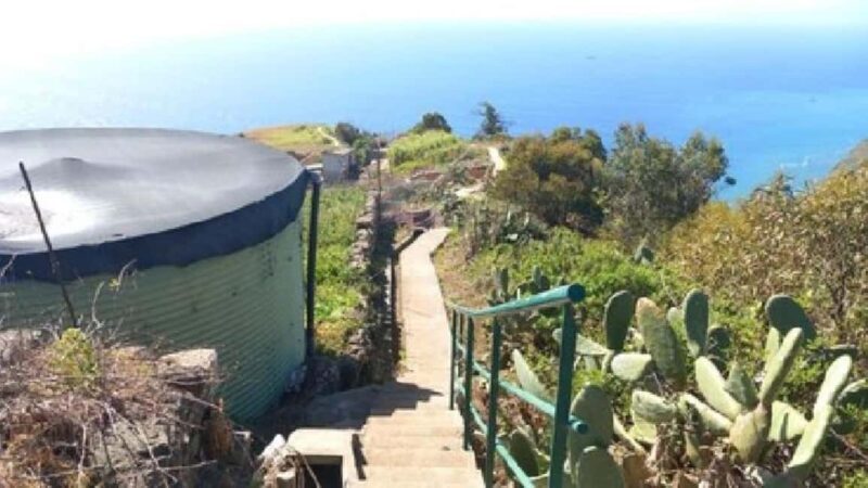 Vereda & Madeira Wine Tour - Deep Dive Into the Details