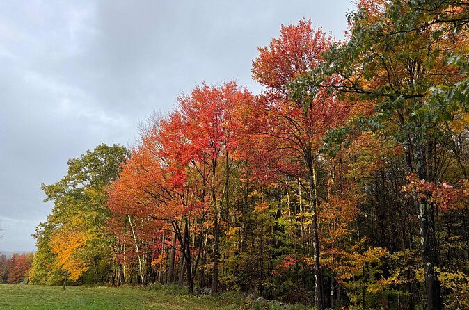 Vermont Wayfinders Fall Foliage Private Tour - FAQ