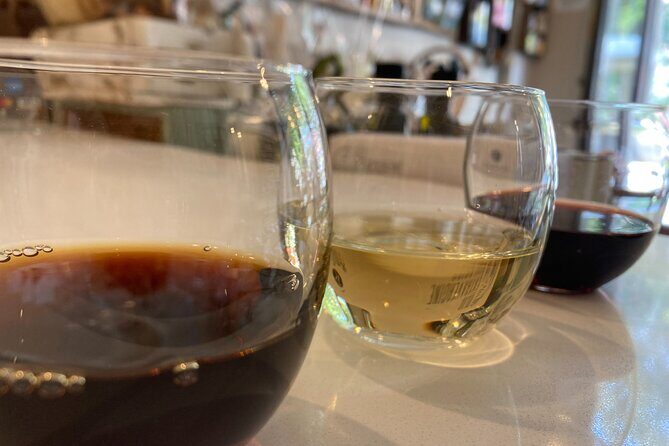 Vermouth Multi-sensory Tasting in Turin - Who Should Consider This Tour?