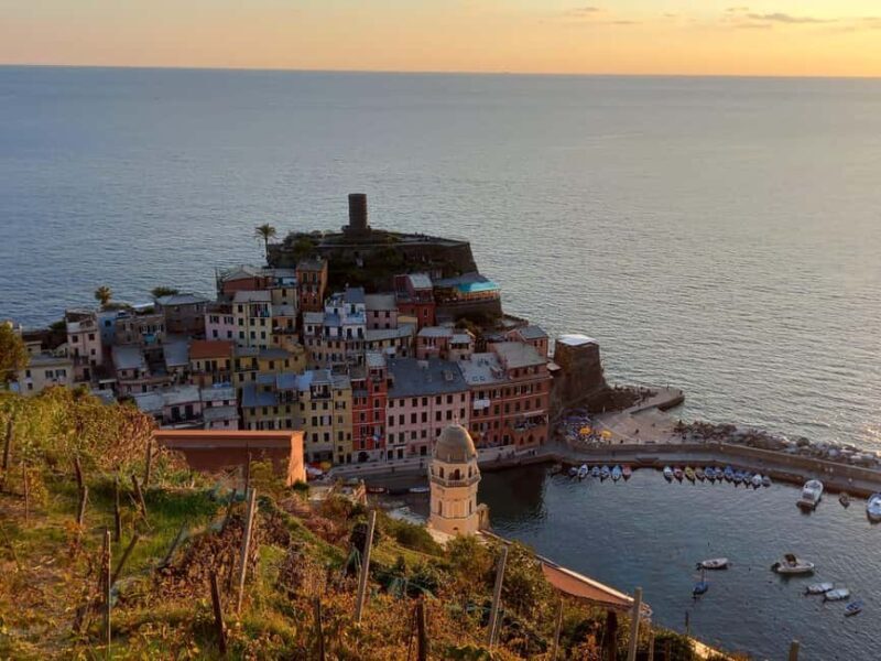 Vernazza (5 Terre): olive grove tour and oil and wine tasting - Key Points