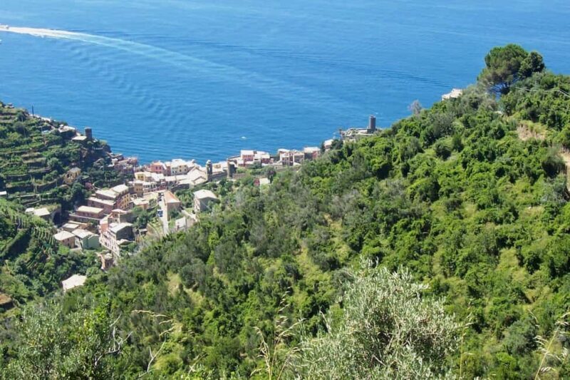 Vernazza (5 Terre): olive grove tour and oil and wine tasting - A Closer Look at the Tour Itinerary