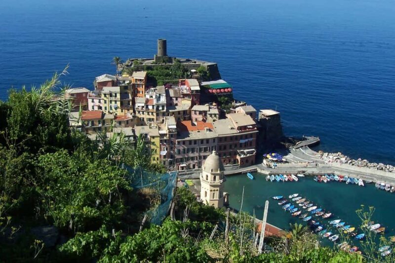 Vernazza (5 Terre): olive grove tour and oil and wine tasting - The Value of This Tour