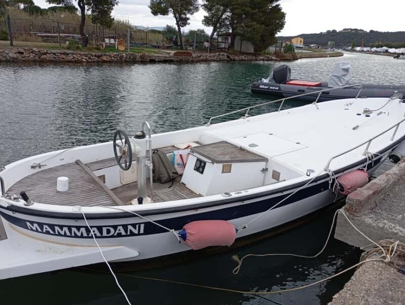 Vernazza: Cinque Terre Cruise with Sunset Aperetif Option - Practical Details and Tips