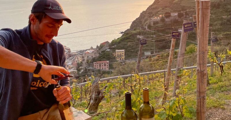 Vernazza: Panoramic Vineyard Trekking Tour w/ Wine Tasting - Key Points