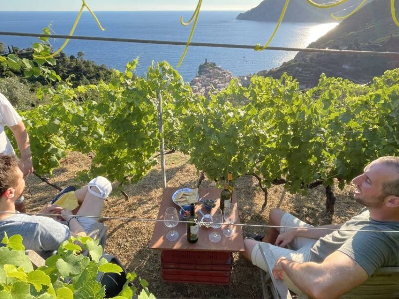 Vernazza: Panoramic Vineyard Trekking Tour w/ Wine Tasting - The Reviews Speak Volumes
