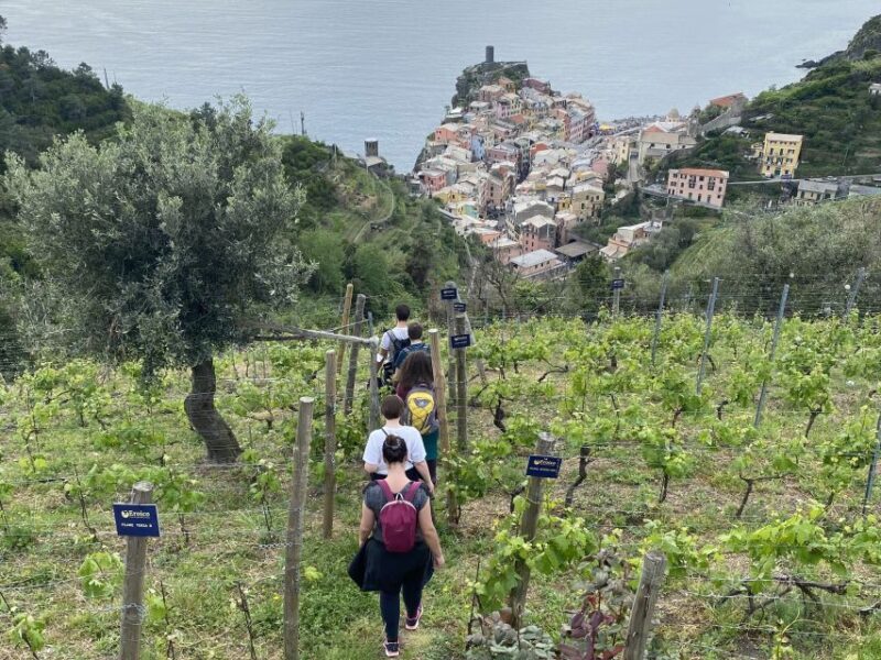 Vernazza: Panoramic Vineyard Trekking Tour w/ Wine Tasting - Practical Considerations