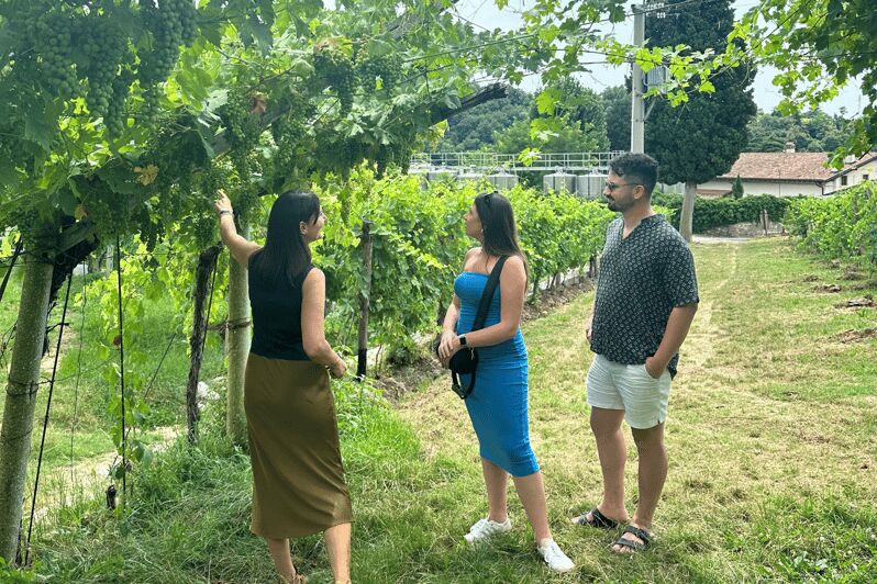 Verona: A family tasting in the heart of Valpolicella - What to Expect from the Verona Family Tasting Experience