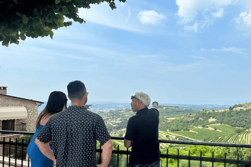 Verona: A family tasting in the heart of Valpolicella - Authenticity and Review Highlights