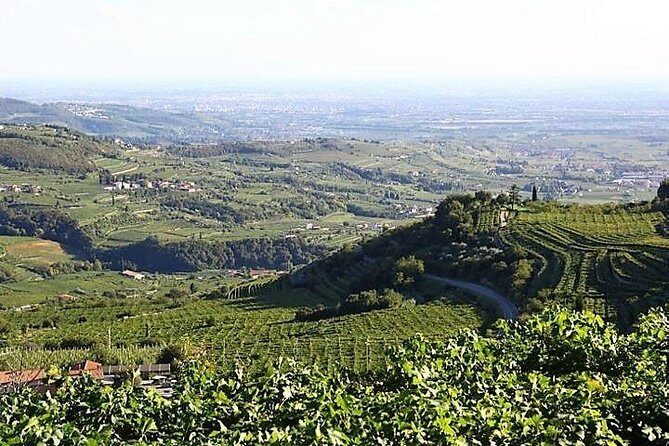 Verona art city, Valpolicella wine tasting full day private tour - Who is This Tour Best Suited For?