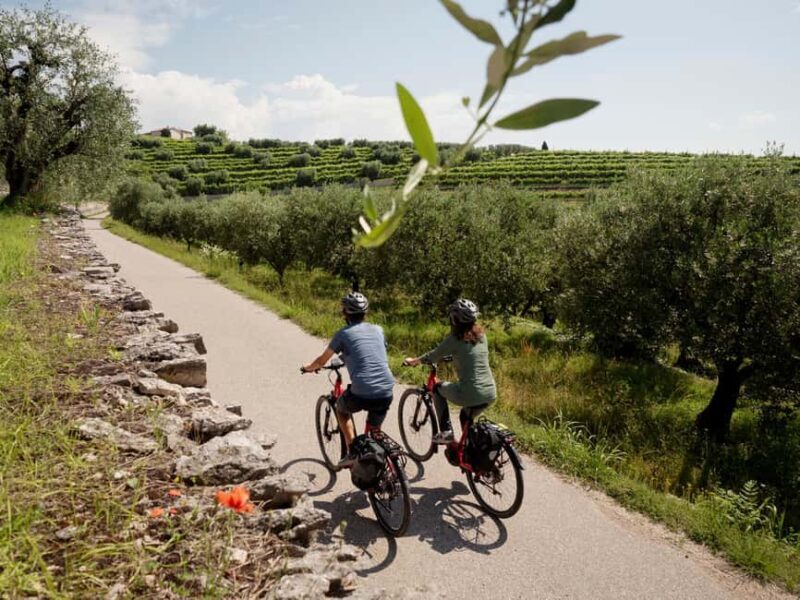 Verona: Valpolicella Wine Self-Guided E-Bike Tour & Tastings - Practical Details and Considerations
