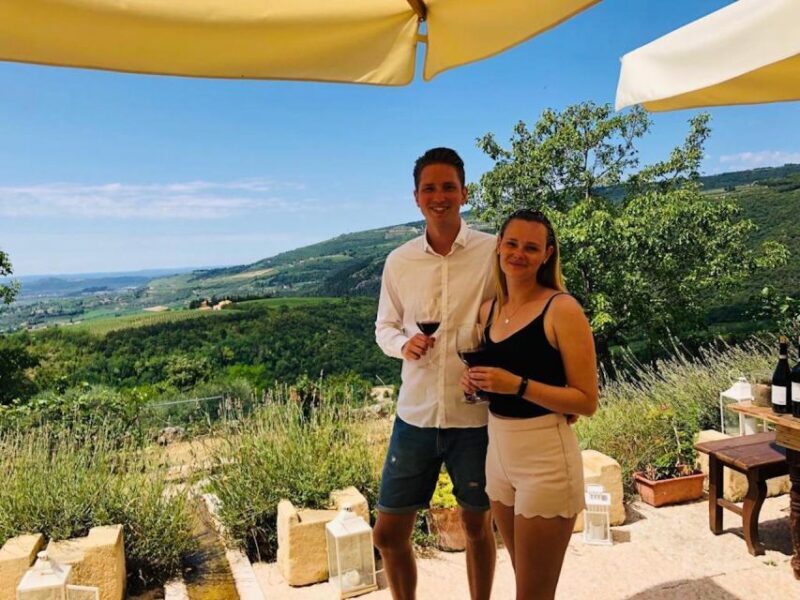 Verona: Vineyard and Winery Tour with Wine Tasting - What You Can Expect from This Verona Wine Tour