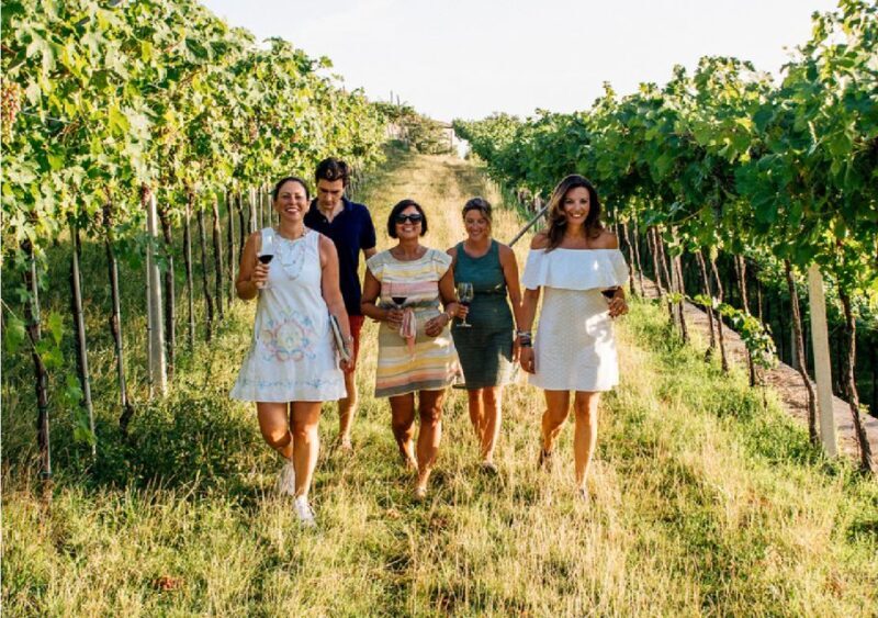 Verona: Vineyard and Winery Tour with Wine Tasting - Is This Tour Worth It?