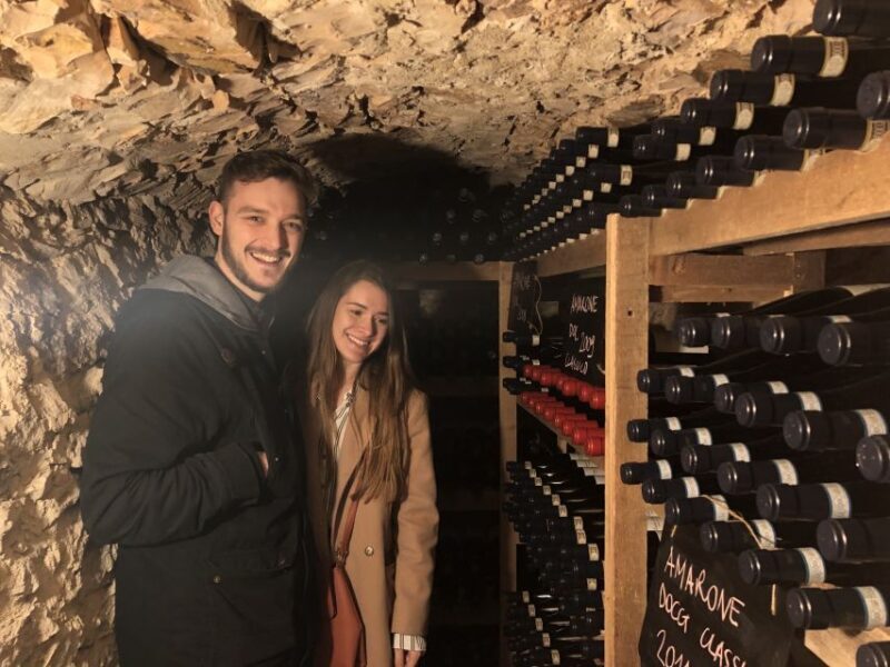 Verona: Vineyard and Winery Tour with Wine Tasting - Who Should Consider This Tour?