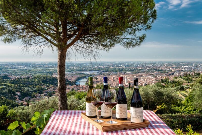 Verona: Wine Tasting with Snacks and Panoramic City Views - Practical Info: Booking, Timing, and More