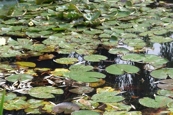 Versailles and Giverny Tour Hotel Pickup - What’s Really Good About This Tour