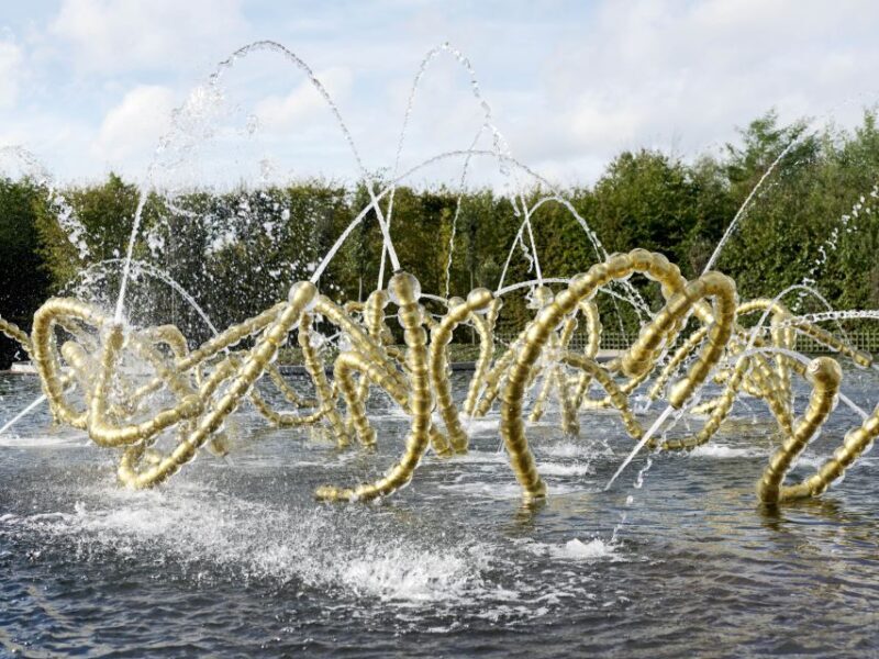 Versailles and Paris Full-Day Tour from Disneyland Paris - A Closer Look at the Tour Experience