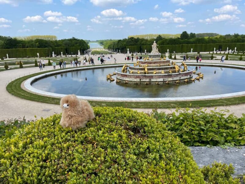 Versailles Half-day Private Tour by Luxury Car - A Closer Look at the Versailles Half-day Private Tour
