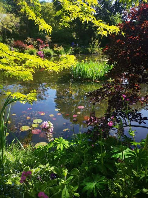 Versailles Palace and Giverny Private guided tour from Paris - The Overall Experience