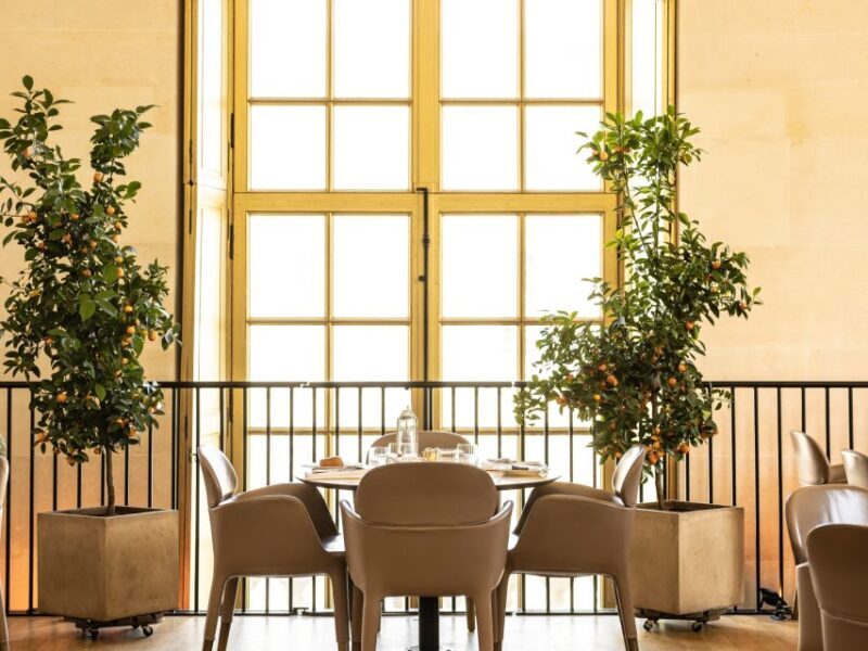 Versailles: Skip-the-Line Entrance and Tea Time at Ore - An In-Depth Look at What This Tour Offers