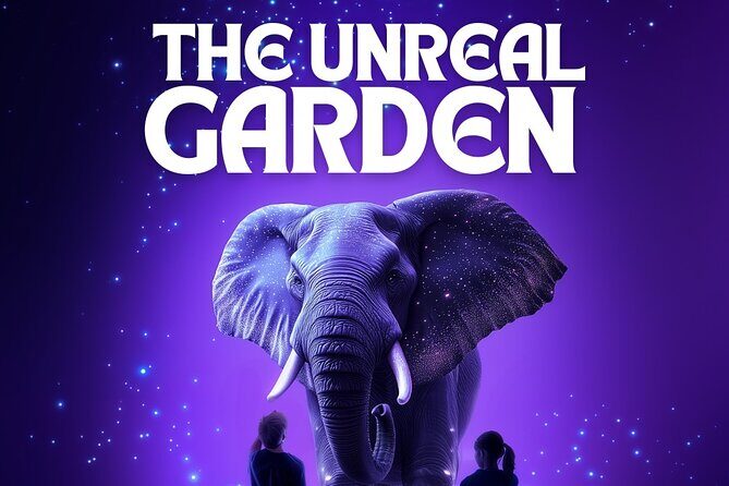 Verse Immersive Holographic Theater in Chicago - Cancellation Policy and Flexibility