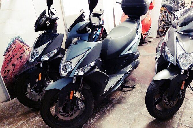 Vespa and Scooter Rental in Lucca - The Route and What to Expect