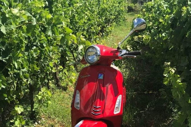 Vespa Motorcycle rental in Florence - Exploring Florence on a Vespa: What You Can Expect