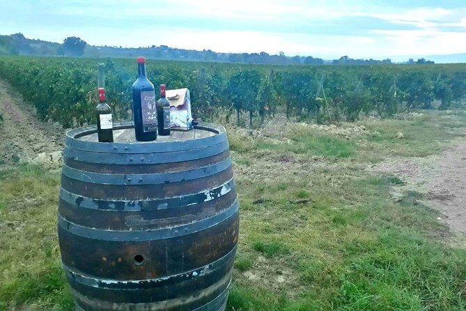 Vespa Tour in Chianti Small Group from Florence - Final Thoughts