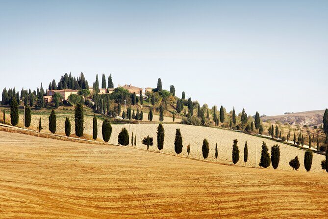 Vespa Tour with Lunch&Chianti Winery from Siena - Key Points: