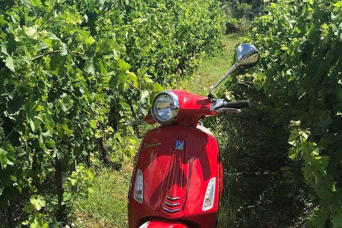 Vespa Tour with Lunch&Chianti Winery from Siena - Cost and Value: Is It Worth It?