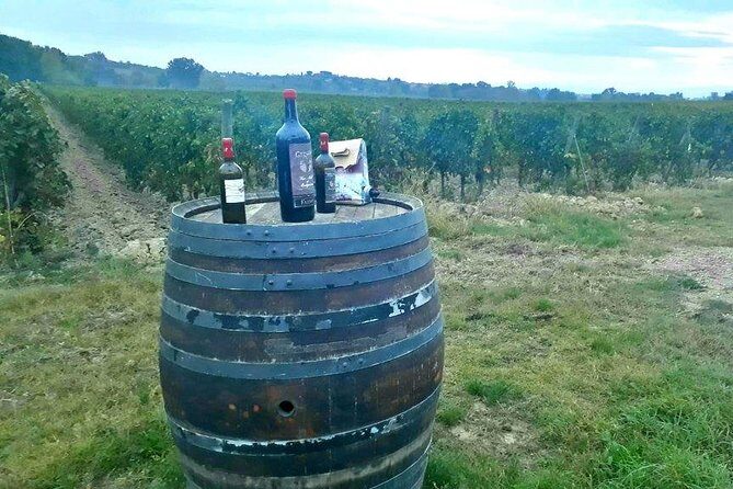 Vespa Tour with Lunch&Chianti Winery from Siena - Who Should Book This?