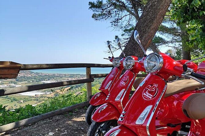 Vespa tour with written guide of Marche in Valdaso - Authentic Experiences and Honest Feedback