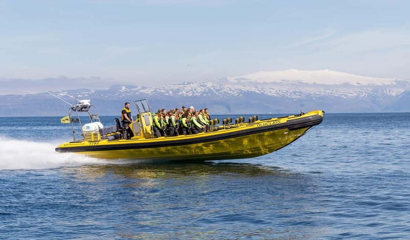 Vestmannaeyjar: 2 hour RIB boat Tour - Key Points