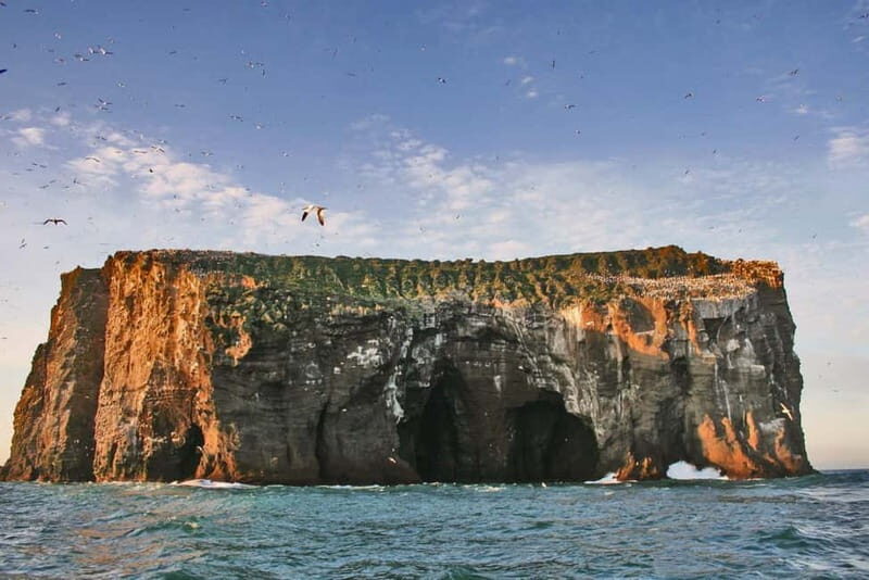 Vestmannaeyjar: 2 hour RIB boat Tour - Practical Details and Considerations