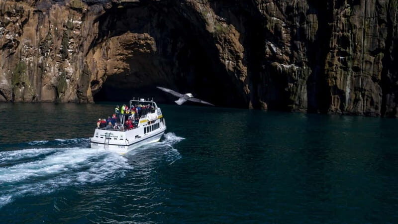 Vestmannaeyjar: Puffin, Island, and Volcano Boat Tour - The Puffin Islands: Elliðaey and Bjarnaey