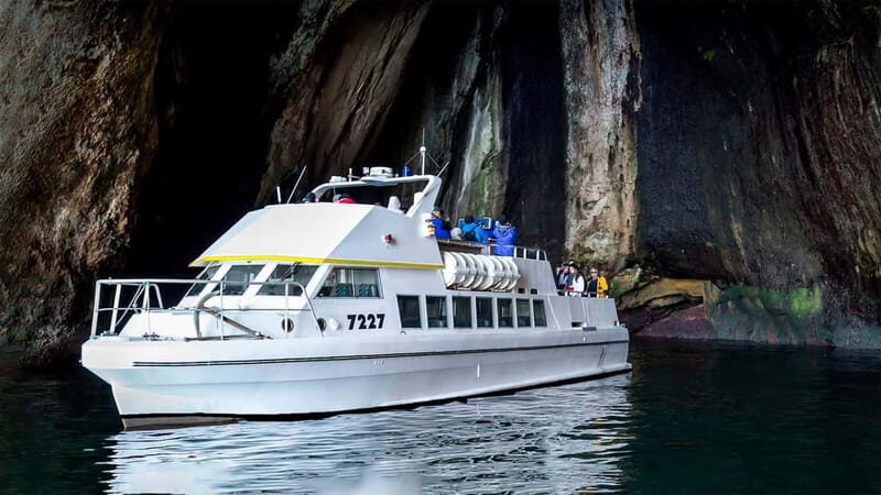 Vestmannaeyjar: Puffin, Island, and Volcano Boat Tour - The 1973 Eruption and Lava Fields